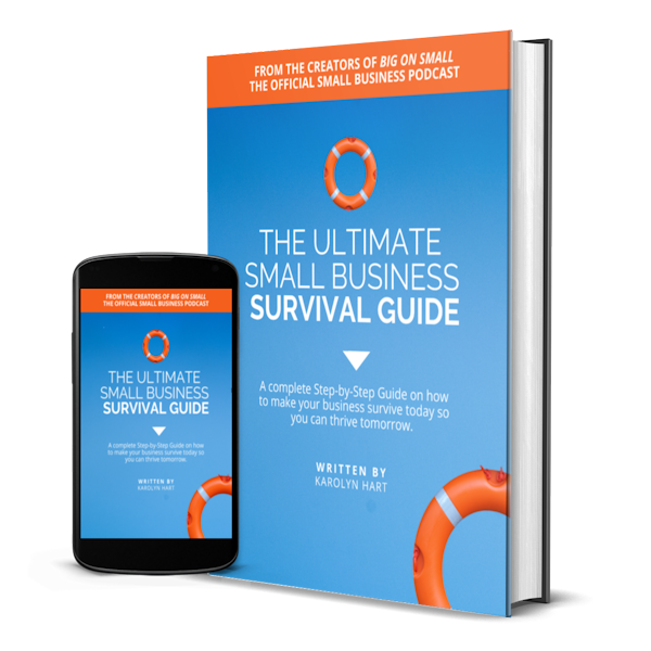 The Ultimate Small Business Survival Guide (Mobile and Book) 600x600