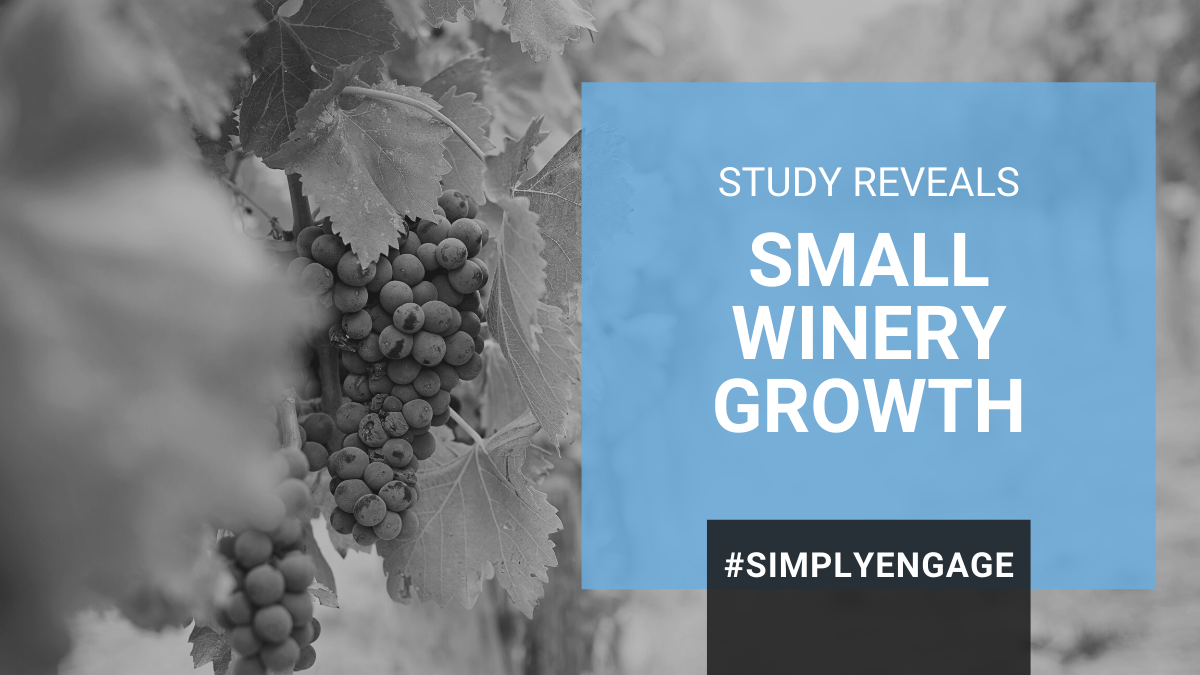 Blog - Small Winery Growth - How Even the Smallest Can Compete and Be Profitable