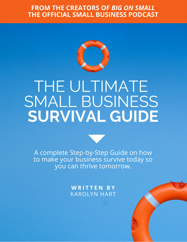 Download the FREE Ultimate Small Business Survival Guide. Transforming your business to survive now so you can thrive later! Part of InspireHUB's Digital Rescue Kit program to help small business owners navigate the challenges during this difficult time.